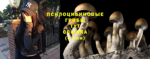 мдма Сосновоборск